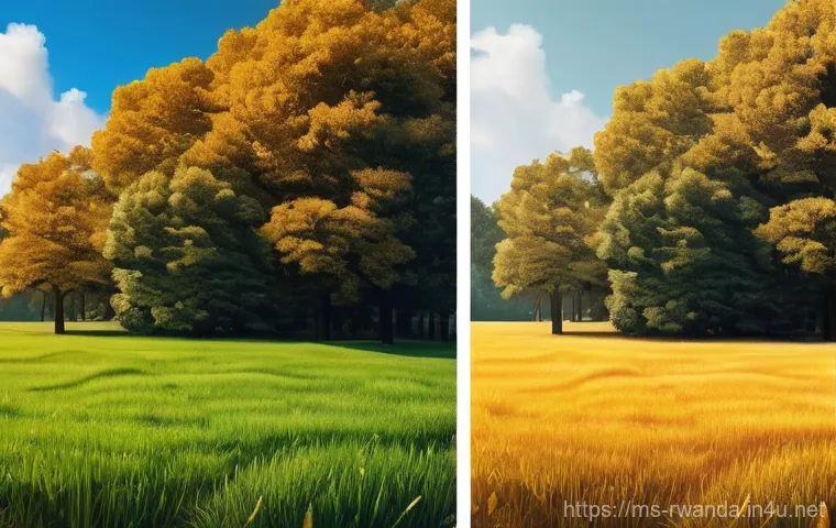 르완다의 국제 무역 정책 - Here are three detailed image generation prompts in English, adhering to all the specified guideline...