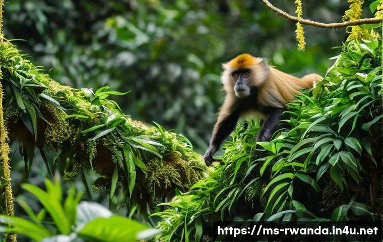 Terokai Syurga Ekowisata Rwanda: Pengalaman Alam Semula Jadi yang Takkan Dilupakan 4 르완다의 주요 에코투어 목적지 관련 이미지 2